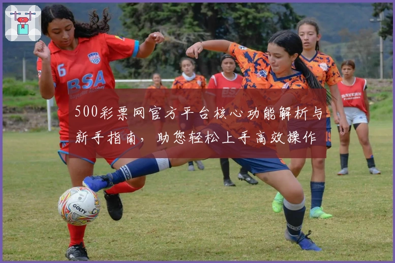 500彩票网官方平台核心功能解析与新手指南，助您轻松上手高效操作