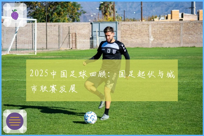2025中国足球回顾：国足起伏与城市联赛发展